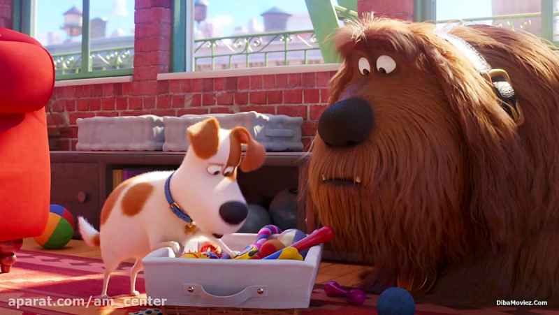 دانلود انیمیشن زندگی پنهان حیوانات خانگی 2 2019 نسخه دو زبانه (دوبله و انگلیسی)