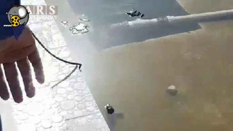 هجوم گراز به خیابان در اثر سیل در رودخانه شهرستان میناب