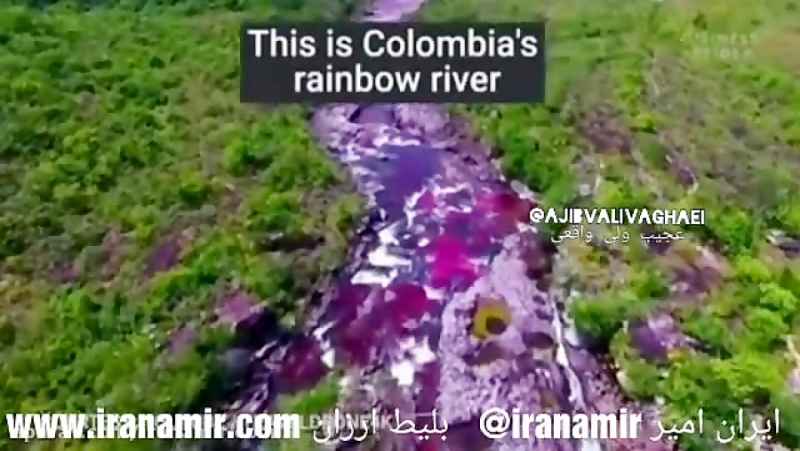 کانو کریستالس زیباترین رودخانه دنیا، رود رنگین کمان کلمبیا