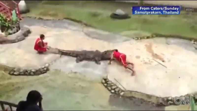 شوخی خطرناک بایک تمساح بزرگ 5 متری اب شور امریکایی