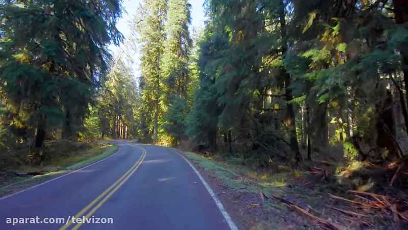 دو ساعت رانندگی در اعماق جنگل بکر | (ریلکسیشن در طبیعت 89)