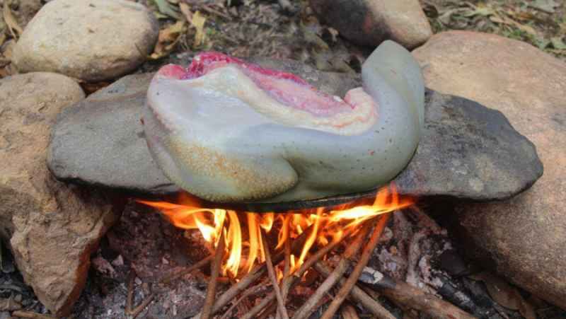 سرخ کردن زبان گاو بر روی سنگ در جنگل | (تکنیک زندگی 209)