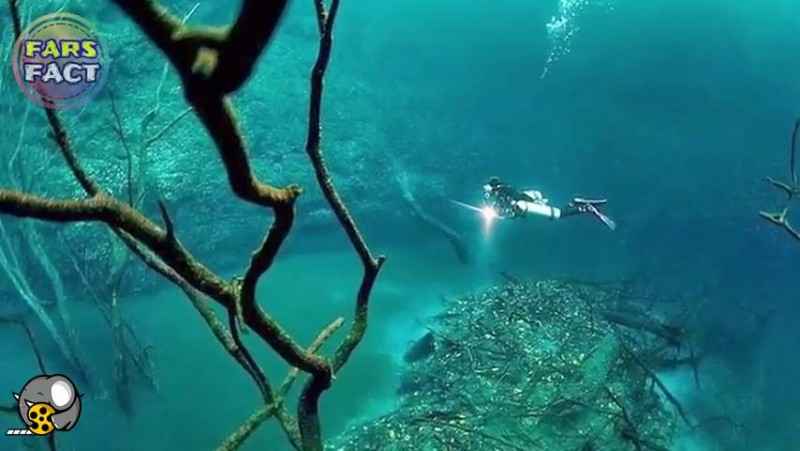 عجیب ترین کشفیات غواص ها در اقیانوس