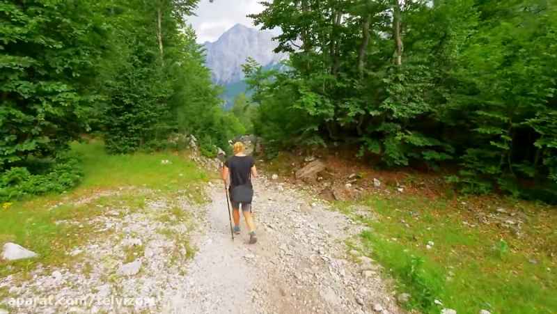 سه ساعت پیاده روی در جنگل های کشور آلبانی | (ریلکسیشن در طبیعت 230)