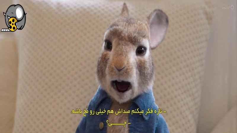 فیلم پیتر خرگوشه 2 فراری Peter Rabbit 2: The Runaway